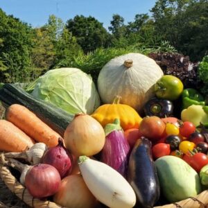 ヒグマ便 Lサイズ 7~12種類