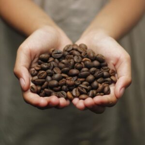 【数量限定】アラビカ珈琲 ~最古の原種豆~